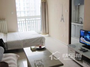 北京朝阳区大望路温馨舒适公寓短租指南